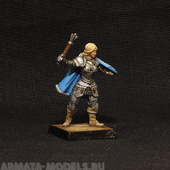 iris female paladin in armour