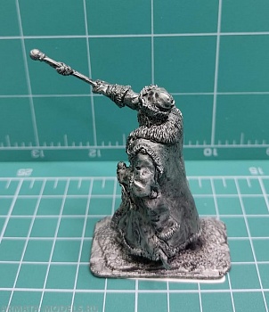 4160ТБ ВИМ, пеший стрелец  - стрелецкий голова (полковник)