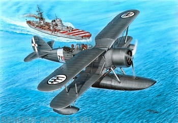 SH 48169 Самолет IMAM Romeo Ro-43