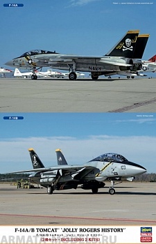 02106 (02106-8) Набор F-14A/B TOMCAT JOLLY ROGERS HISTORY (Two kits in the box)